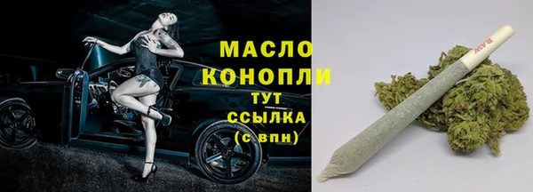 метадон Гусев