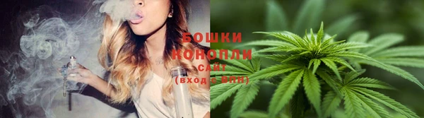ПСИЛОЦИБИНОВЫЕ ГРИБЫ Гусь-Хрустальный