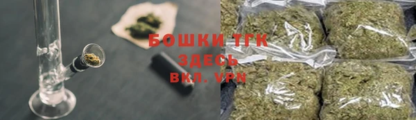 метадон Гусев