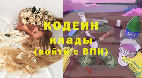 ПСИЛОЦИБИНОВЫЕ ГРИБЫ Гусь-Хрустальный