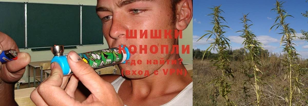 ПСИЛОЦИБИНОВЫЕ ГРИБЫ Гусь-Хрустальный