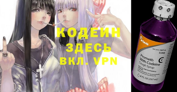 ПСИЛОЦИБИНОВЫЕ ГРИБЫ Гусь-Хрустальный