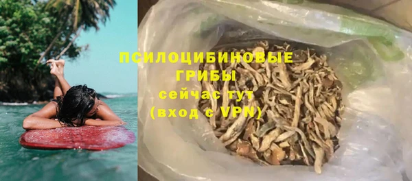 стаф Гусиноозёрск