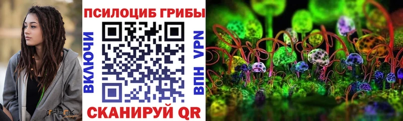 Псилоцибиновые грибы GOLDEN TEACHER Дербент
